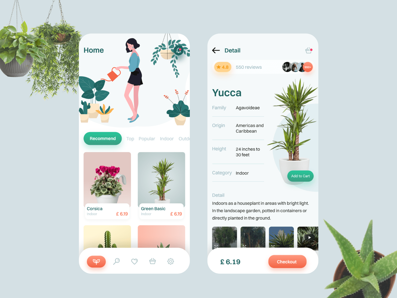 portfolio