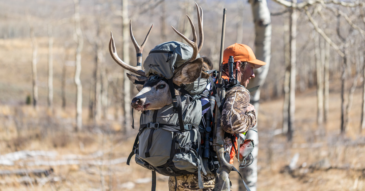 Back view of a couple of hikers with backpack