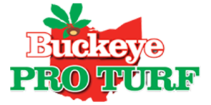 logo-main