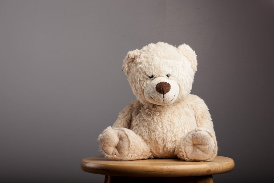 teddy-bear-6885
