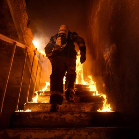 Fire / EMS Responses