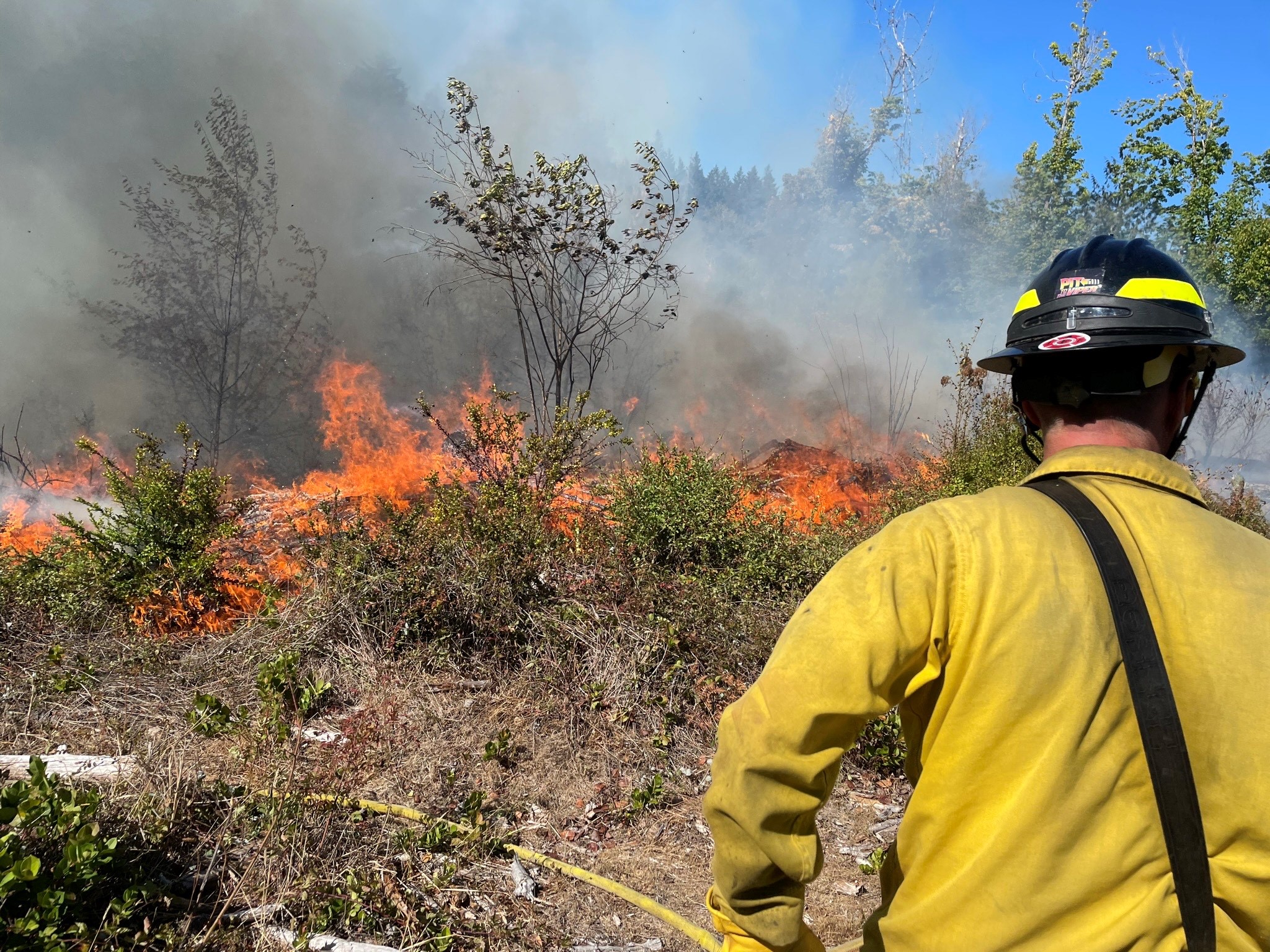 South Thurston Fire and EMS District 4