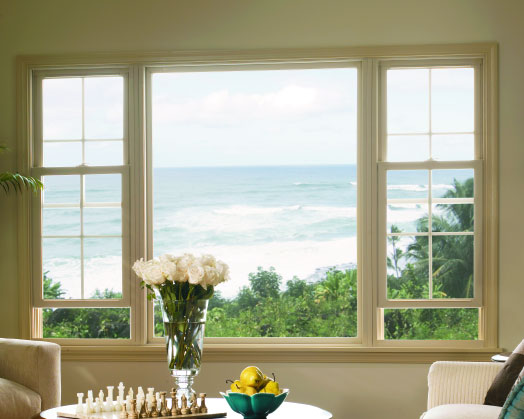 Picture Windows