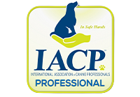 certificateiacp-removebg-preview
