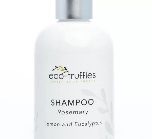 all natural hair care shampoo