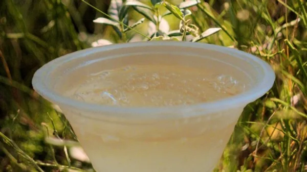 Haitian Conditioning Shampoo with Haitian Black Castor Oil | Go21Degrees, sustainable haircare products
