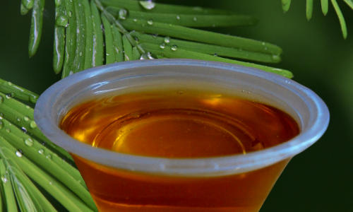 Affordable sustainable haircare, Haitian Black Castor Oil | Sustainable Haircare | Go21Degrees