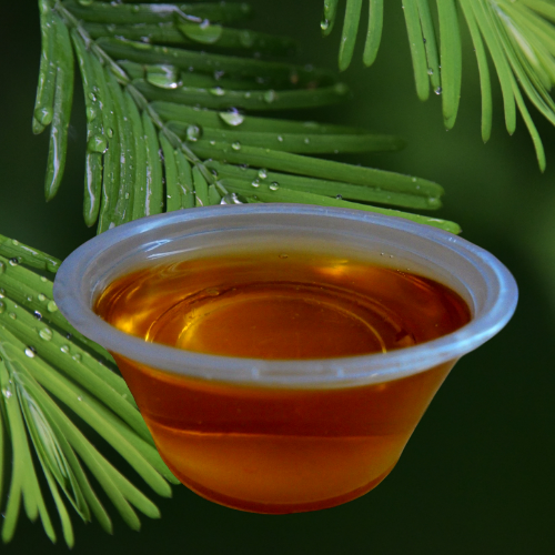Castor oil Affordable sustainable haircare, Haitian Black Castor Oil | Sustainable Haircare | Go21Degrees