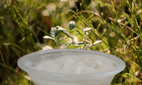 Sustainable haircare products, Haitian Conditioner | Best Sustainable Haircare | Go21Degrees