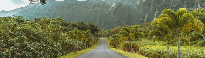 Cheapest Road Trips
