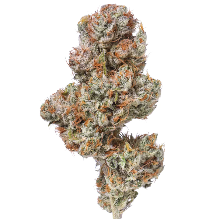 Tennessee Tangie – Flow Gardens