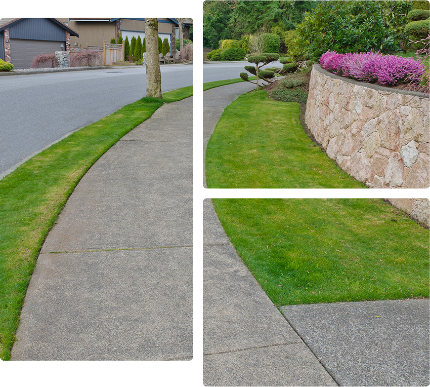 SurfaceClean-scaled-1