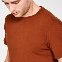 basic t shirt cotton 1