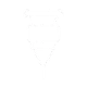 ico2
