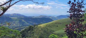 Monteverde Cloud Forest