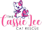 casandra logo