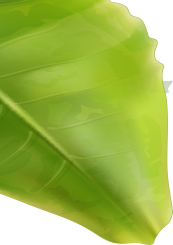 left-leaft